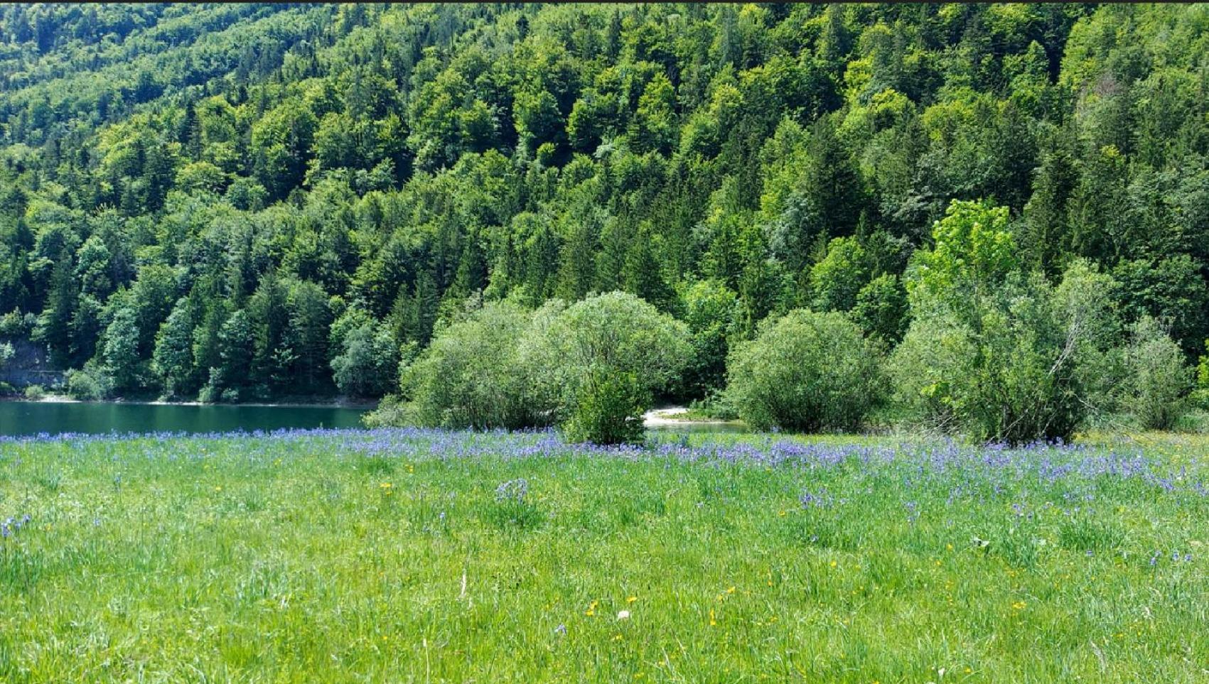 Villa Jaegerhaus Hintersee Esterno foto